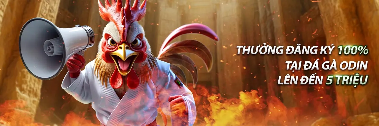 Hình ảnh minh họa Chính sách Cookie và quyền riêng tư dữ liệu của wed sun win