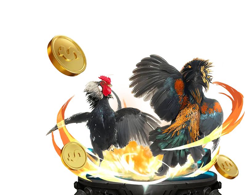 Giao diện đá gà trực tuyến Wed Sun Win